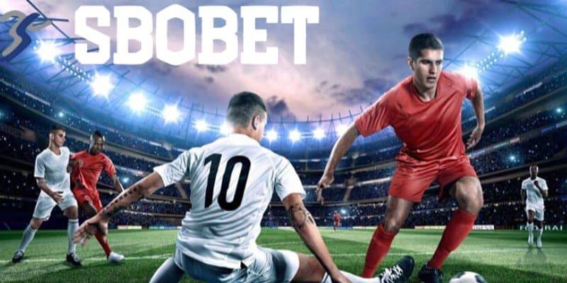 Sbobet thể thao - Sân chơi cá độ trực tuyến hàng đầu châu Á